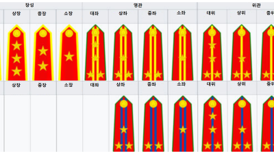 베트남 경찰 계급과 종류에 대해서 자세하게 알아볼까요.